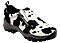 Click for enlarge